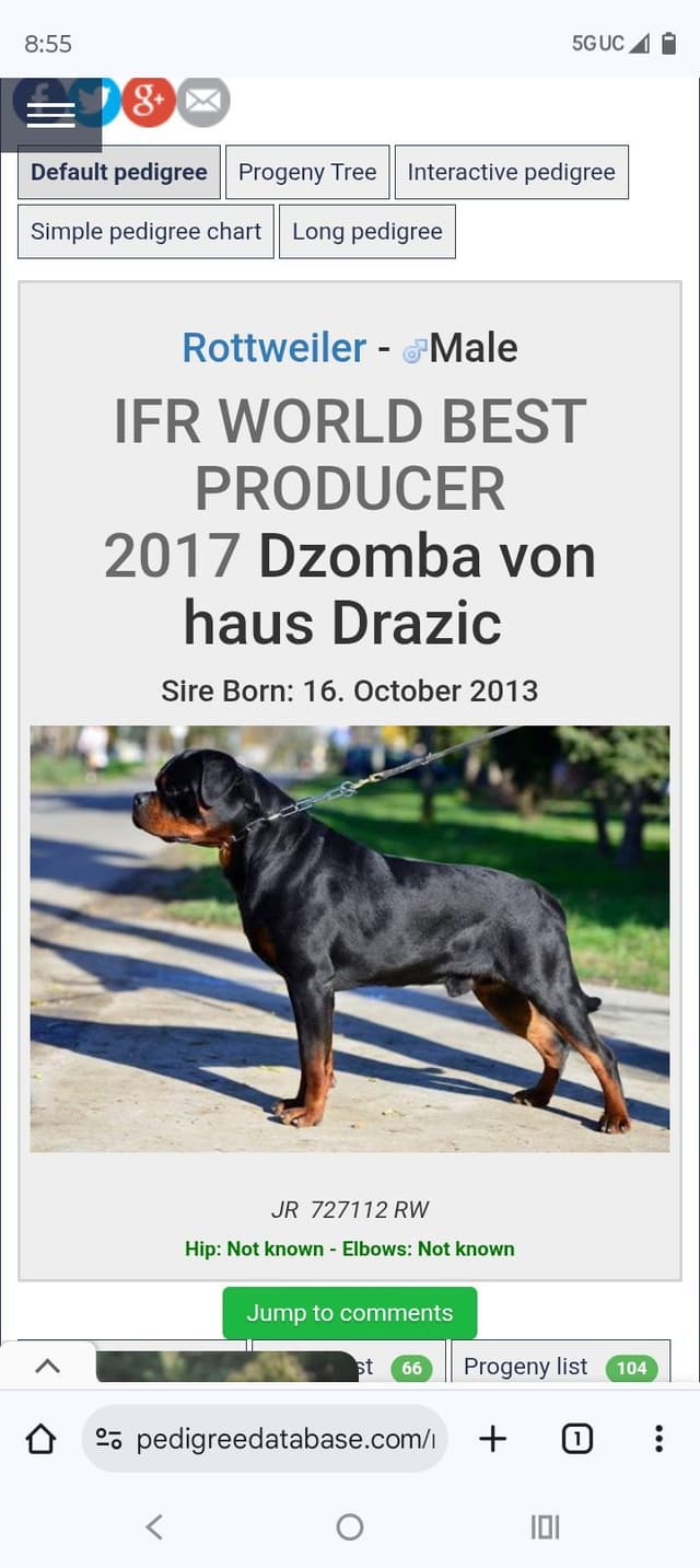 Dam & Sire Pedigree is stacked with well known names. media 15