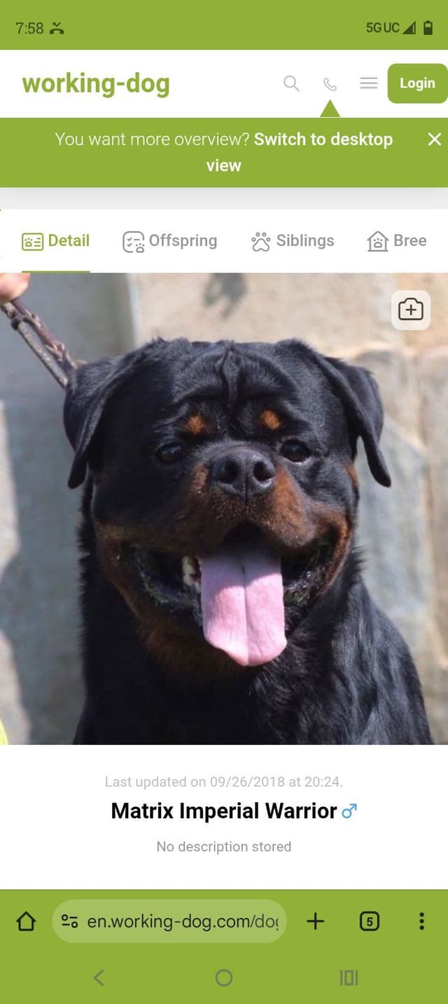 Dam & Sire Pedigree is stacked with well known names. media 23