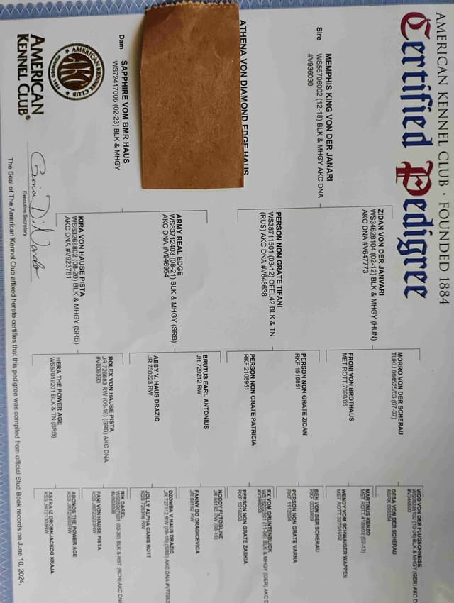 Dam & Sire Pedigree is stacked with well known names. media 3