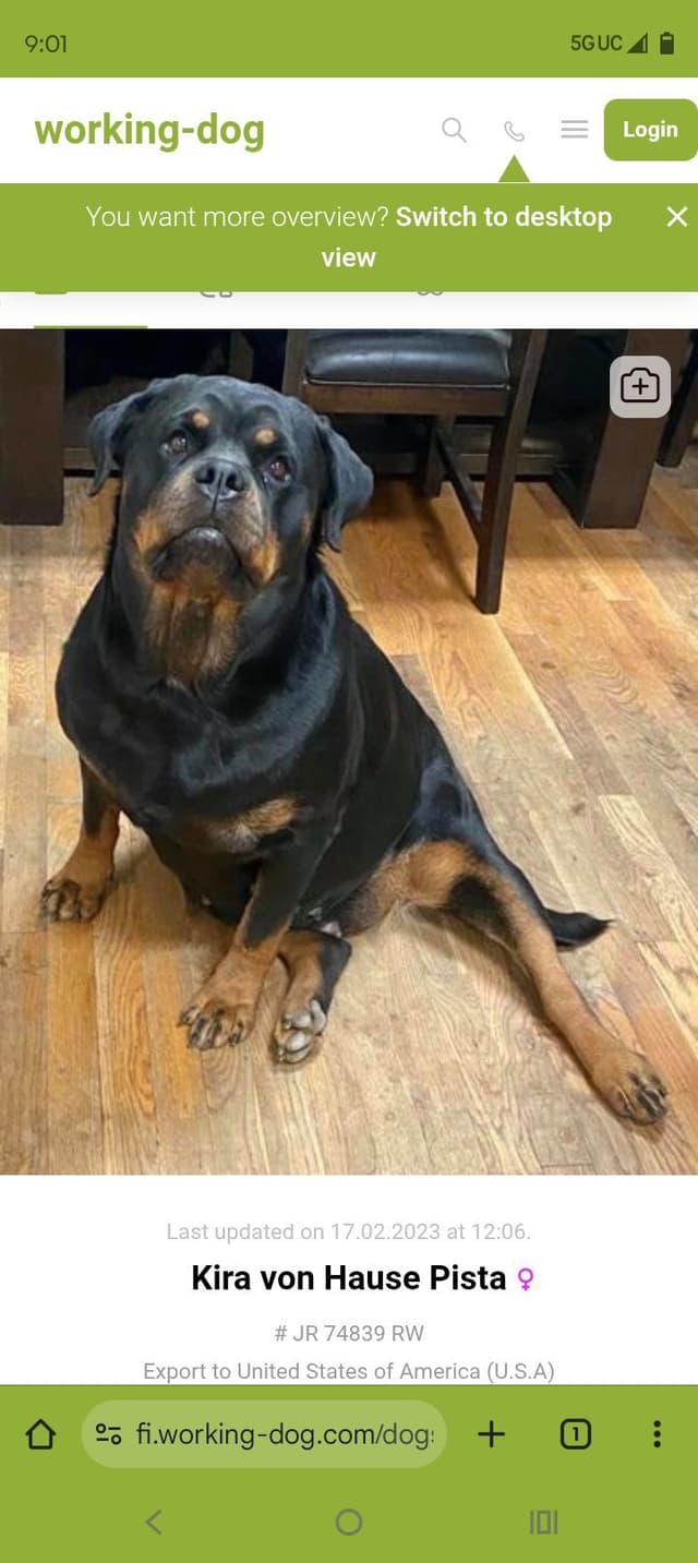 Dam & Sire Pedigree is stacked with well known names. media 8