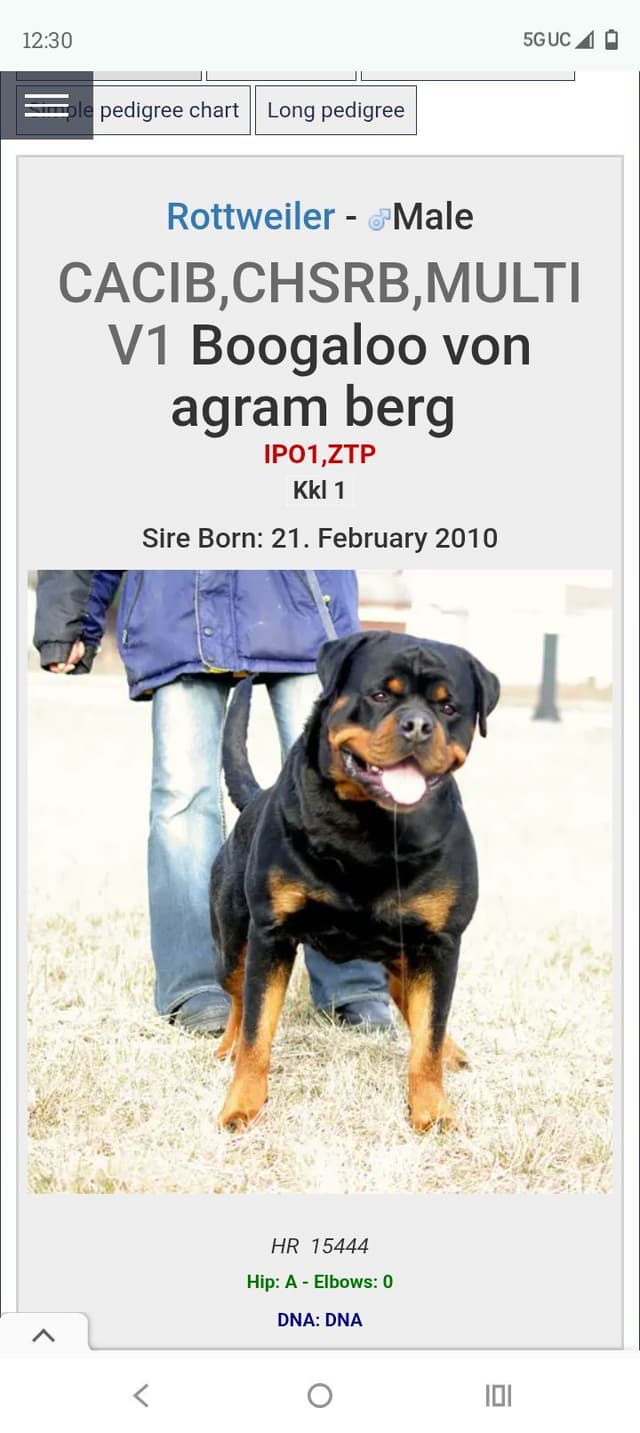 Dam & Sire Pedigree is stacked with well known names. media 18
