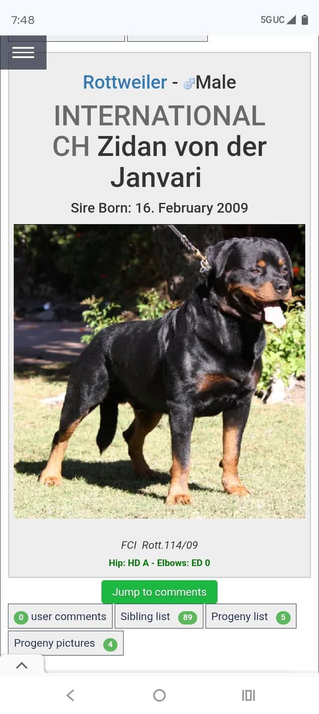 Dam & Sire Pedigree is stacked with well known names. media 5