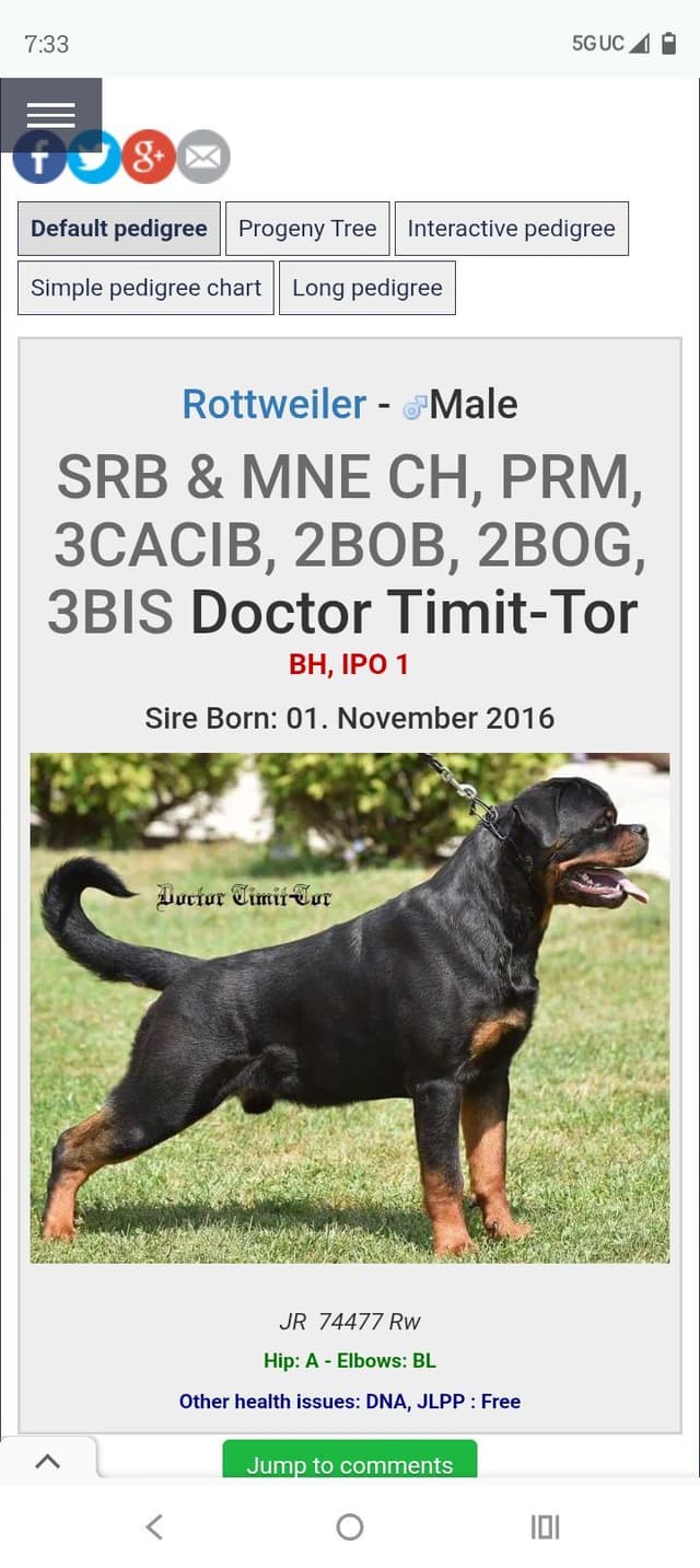 Dam & Sire Pedigree is stacked with well known names. media 21