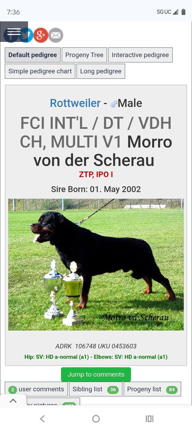 Dam & Sire Pedigree is stacked with well known names. media 6