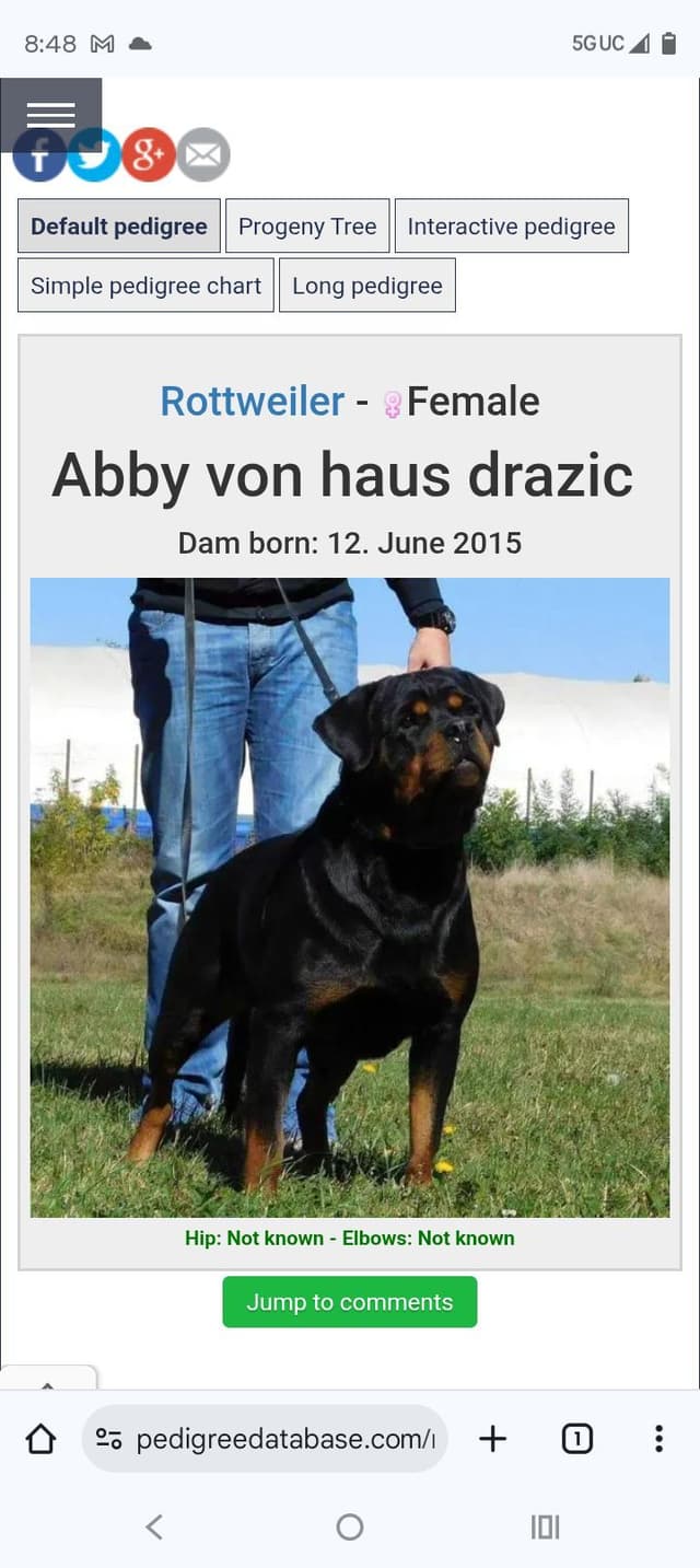 Dam & Sire Pedigree is stacked with well known names. media 11
