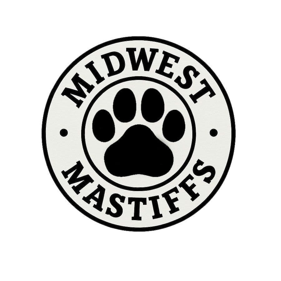 Mastiff Puppies breeder image 1