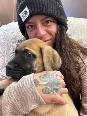 Mastiff Puppies breeder image 3