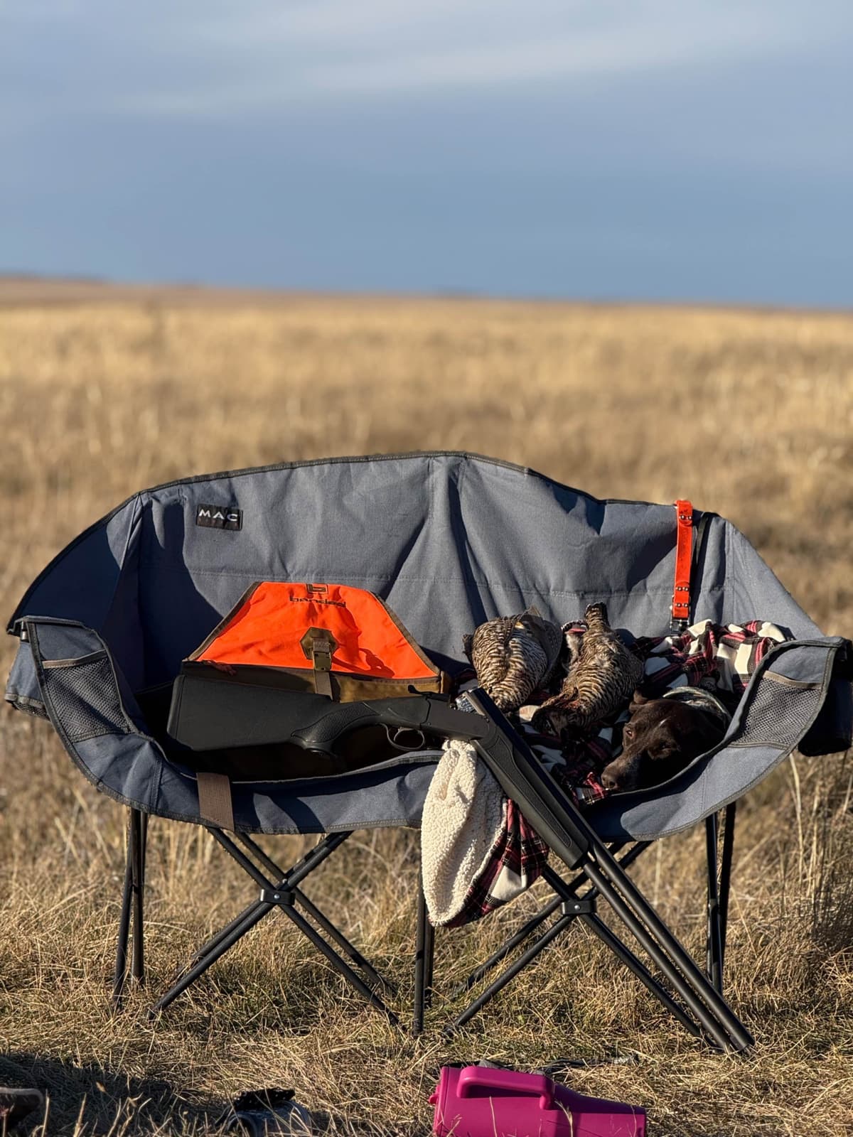 German Shorthaired Pointer Puppies breeder image 9
