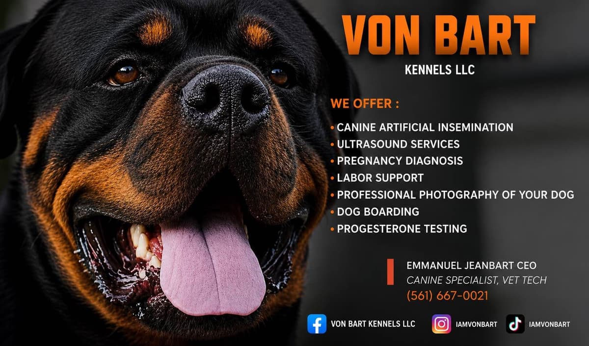 Rottweiler Puppies breeder image 1