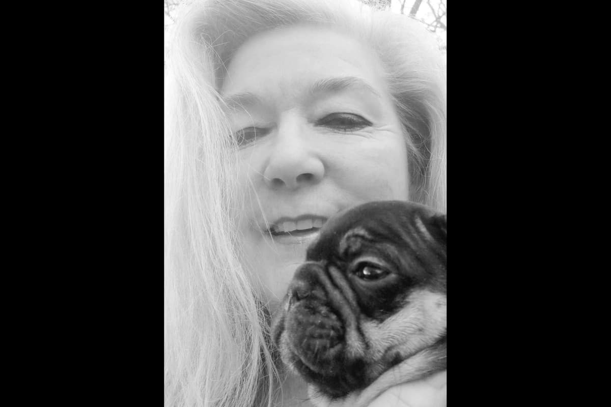 French Bulldog Puppies breeder image 3