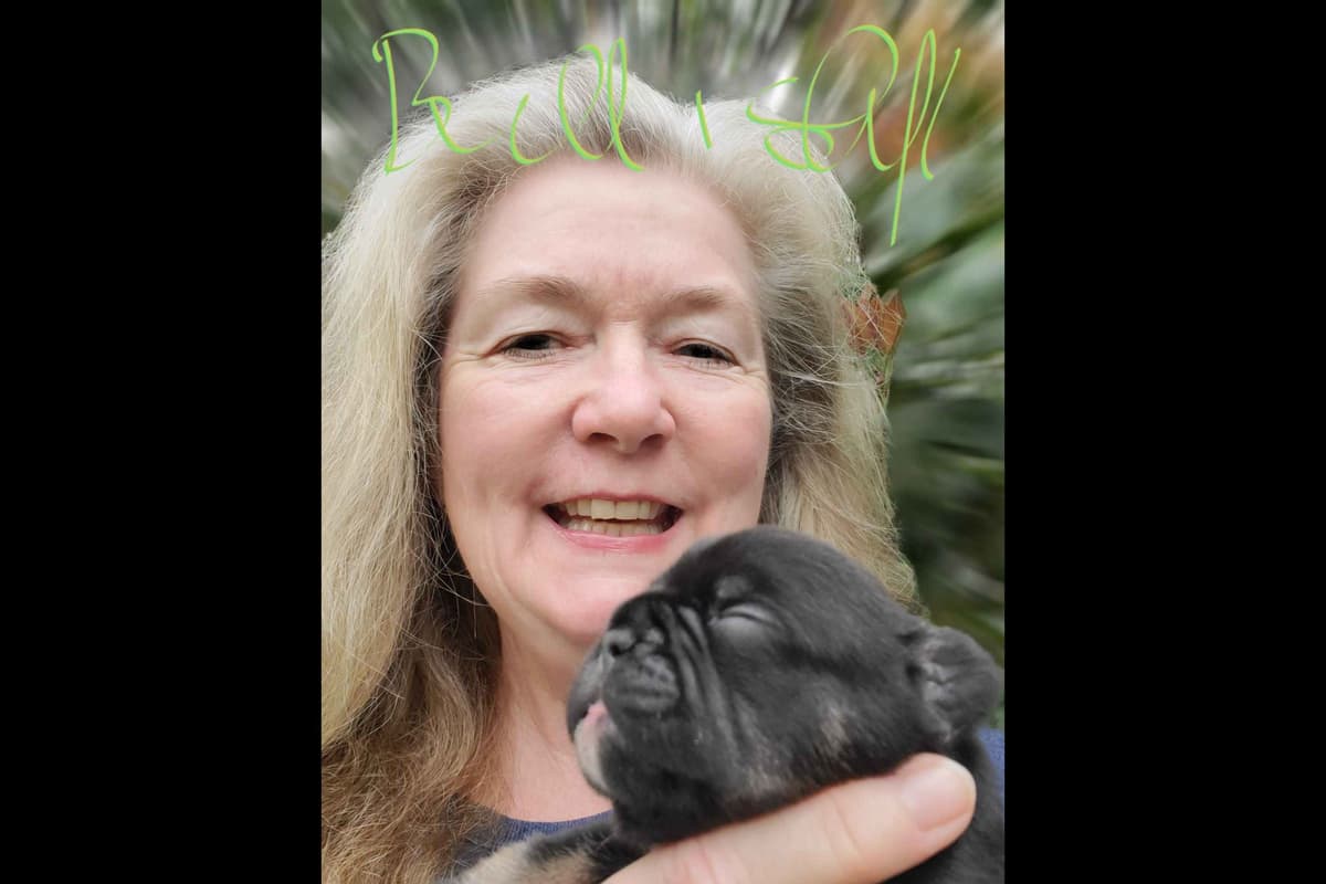 French Bulldog Puppies breeder image 5