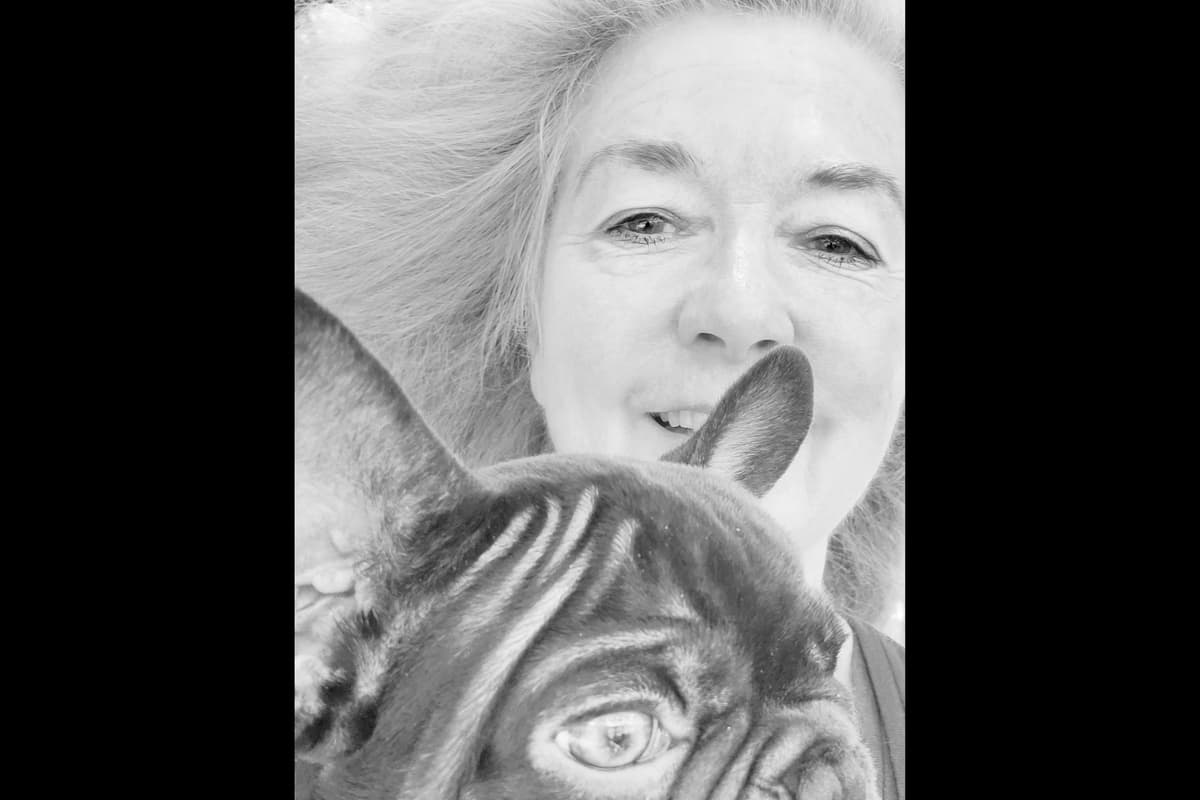 French Bulldog Puppies breeder image 1