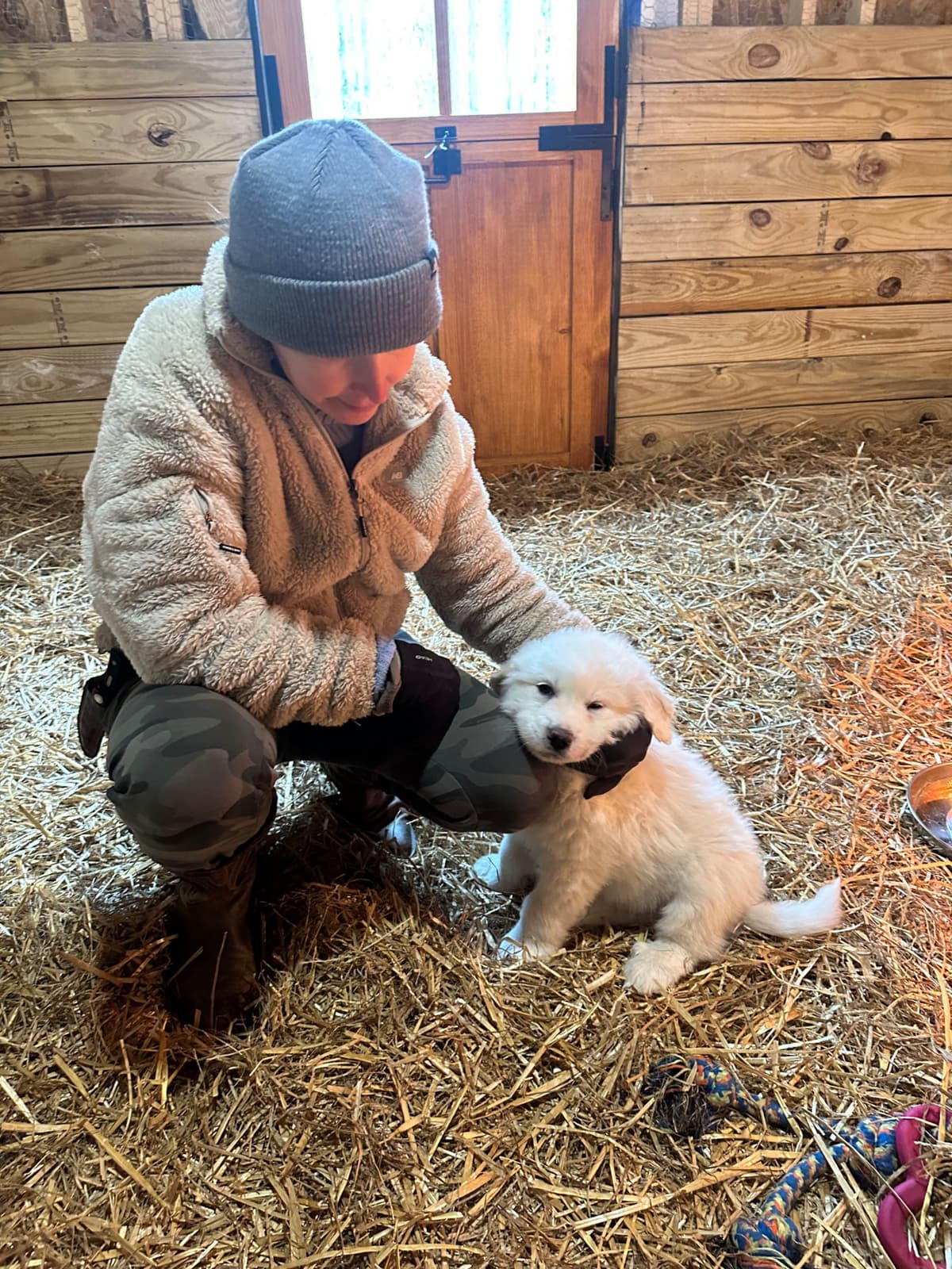 Great Pyrenees Puppies breeder image 13