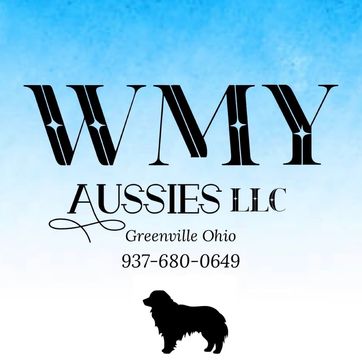 Australian Shepherd Puppies breeder image 1