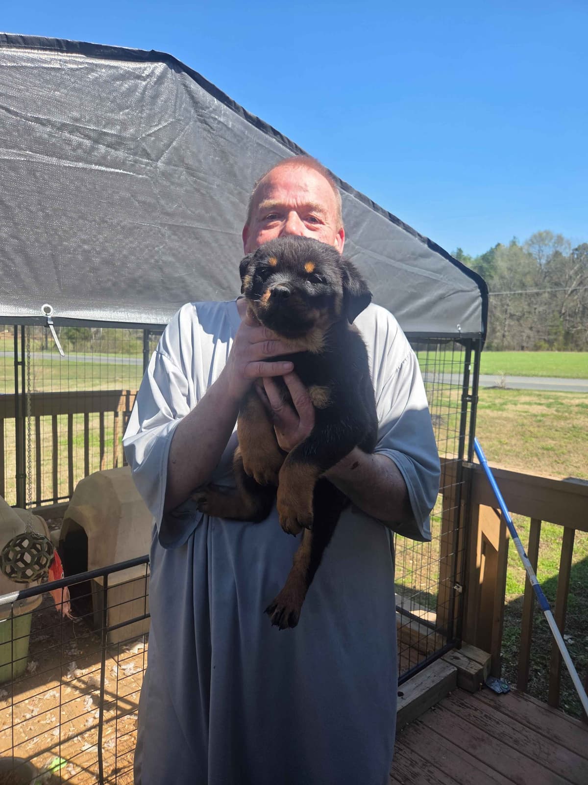 Rottweiler Puppies breeder image 3