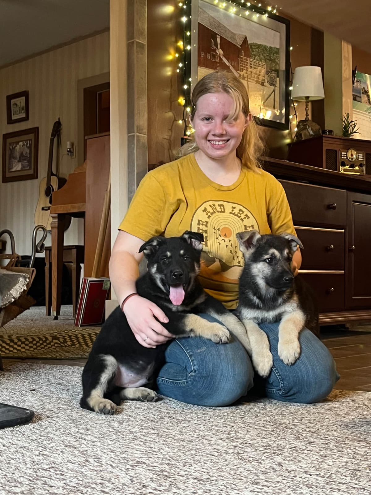 Adorable German Shepherd Puppies! breeder image 12