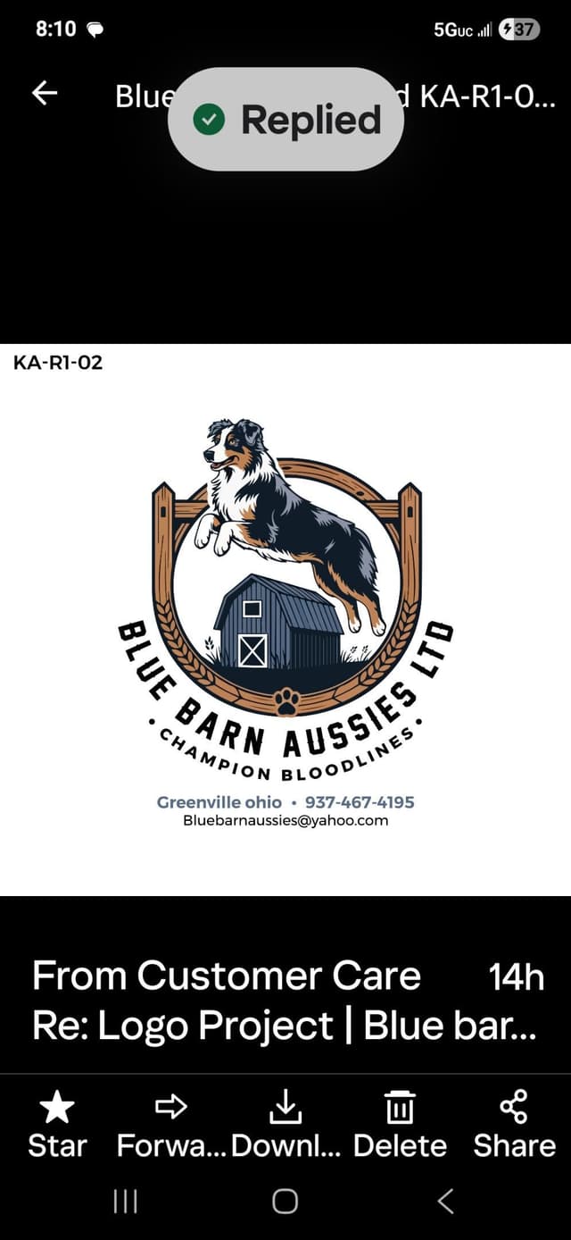Australian Shepherd champion bloodlines media 13