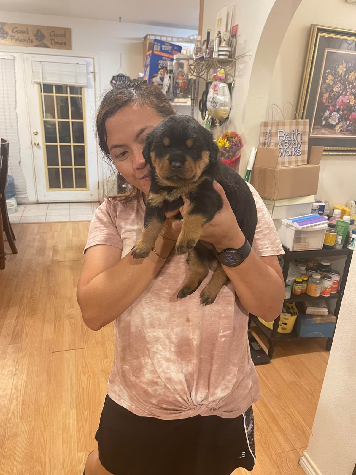 Rottweiler Puppies breeder image 6