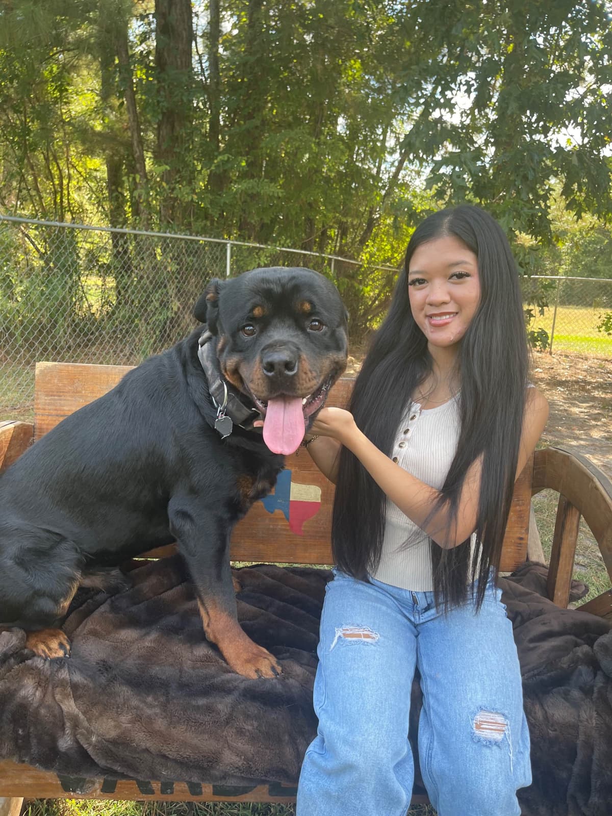 Rottweiler Puppies breeder image 9