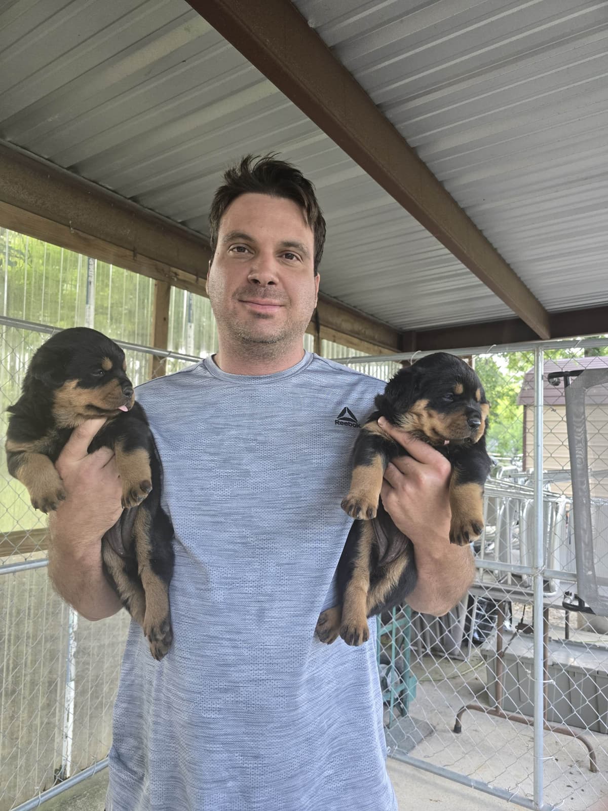 Rottweiler Puppies breeder image 10