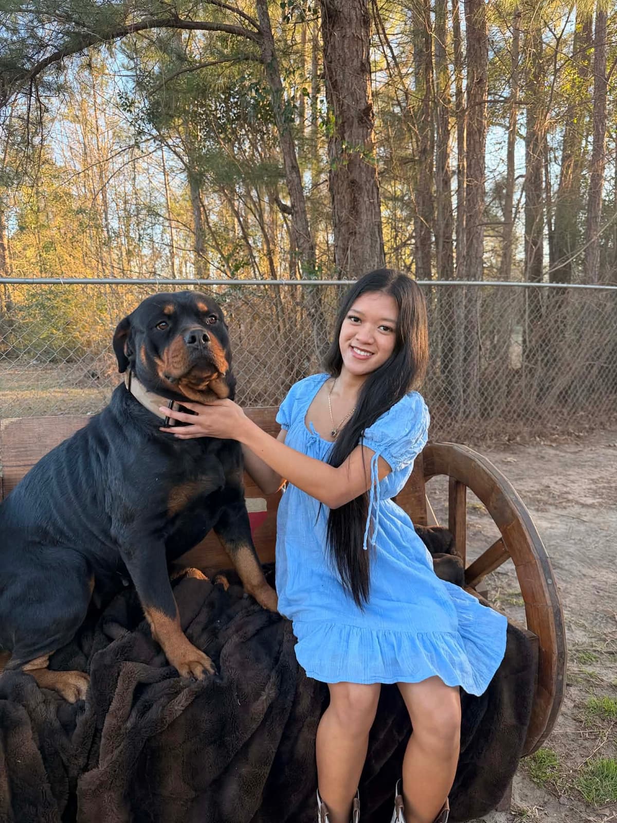 Rottweiler Puppies breeder image 14