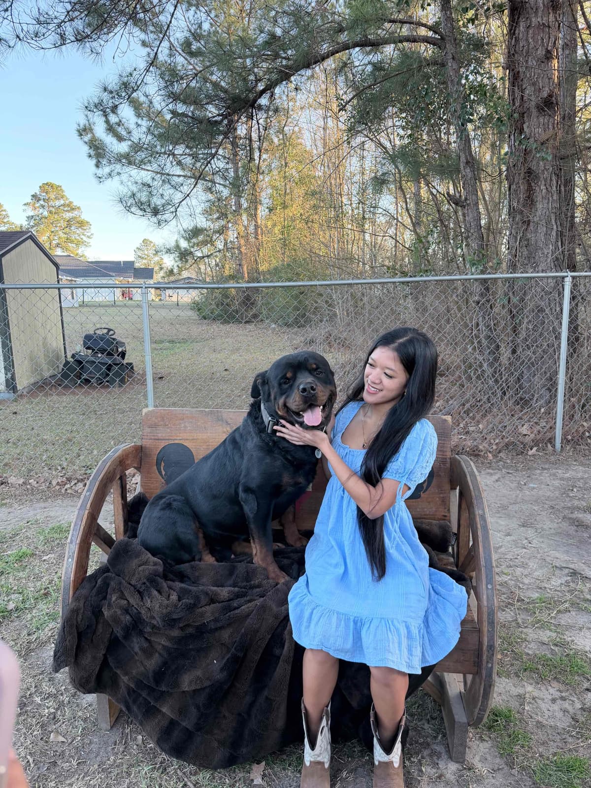 Rottweiler Puppies breeder image 17