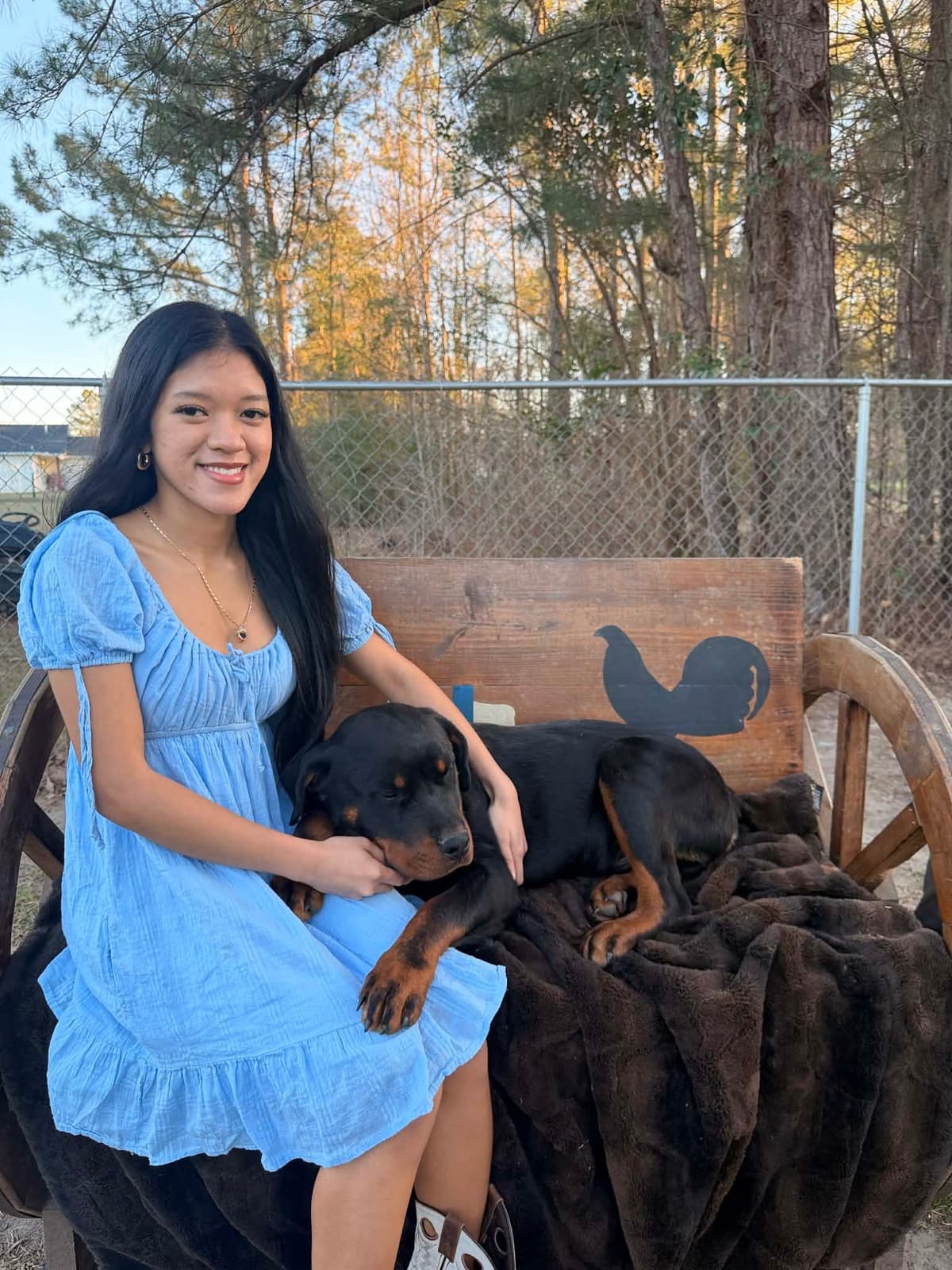 Rottweiler Puppies breeder image 20