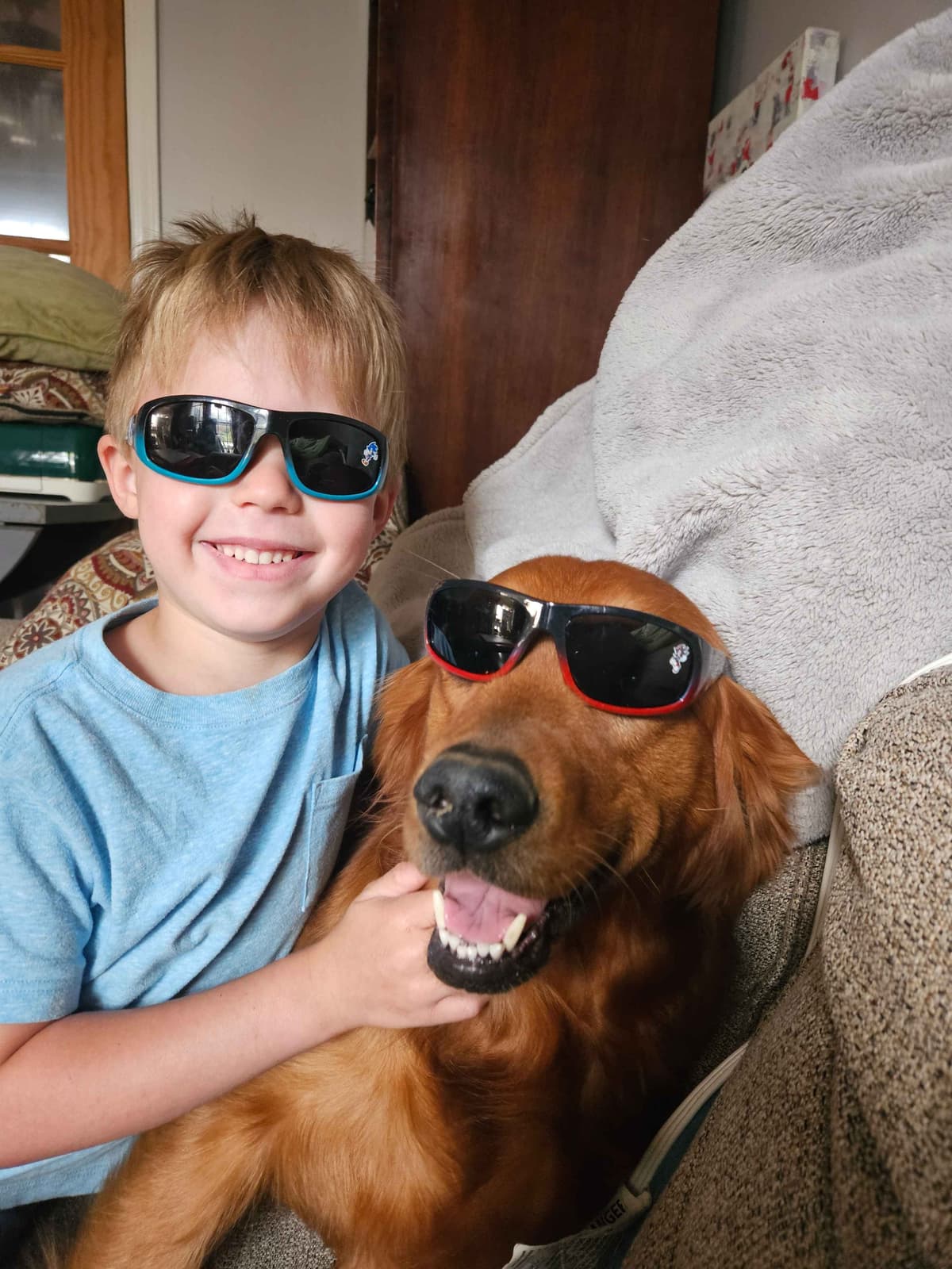 Southern Charm Golden Retrievers breeder image 4