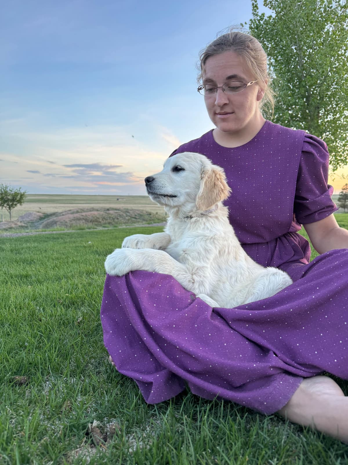 Golden Retriever Puppy breeder image 1