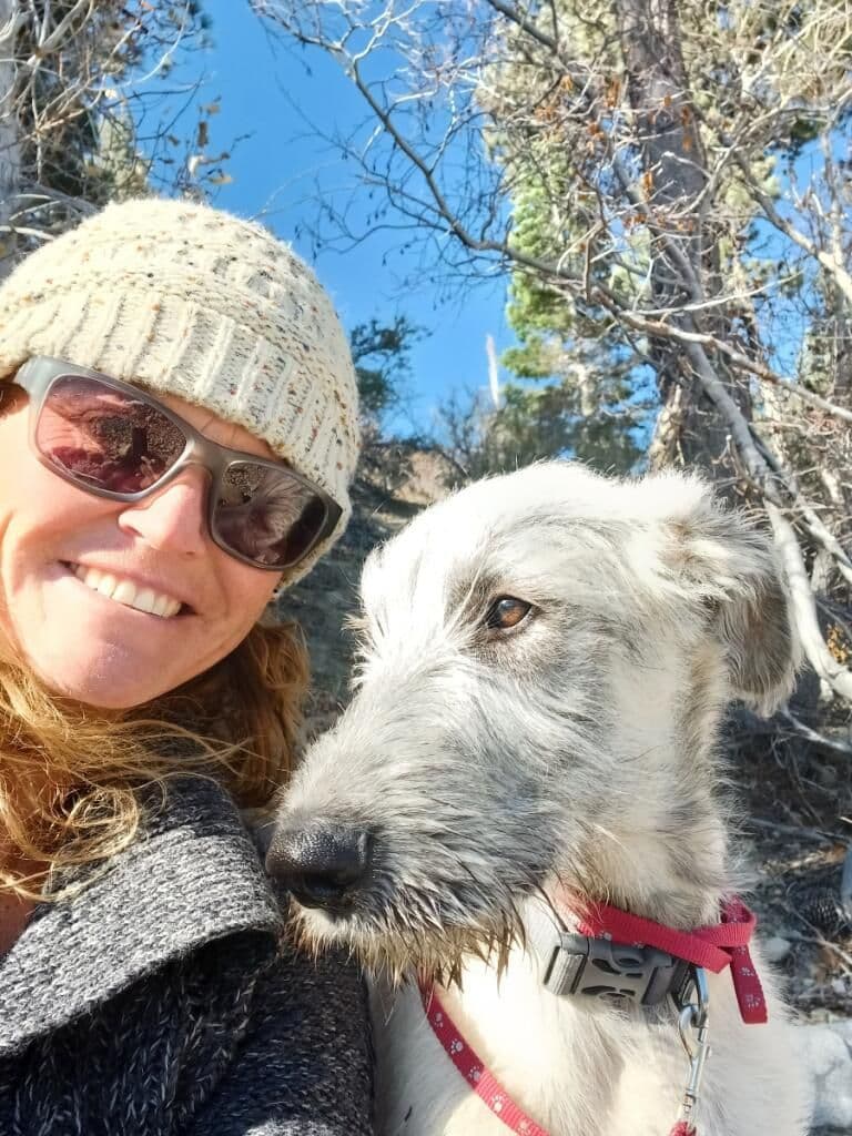 Irish Wolfhound Puppies breeder image 2