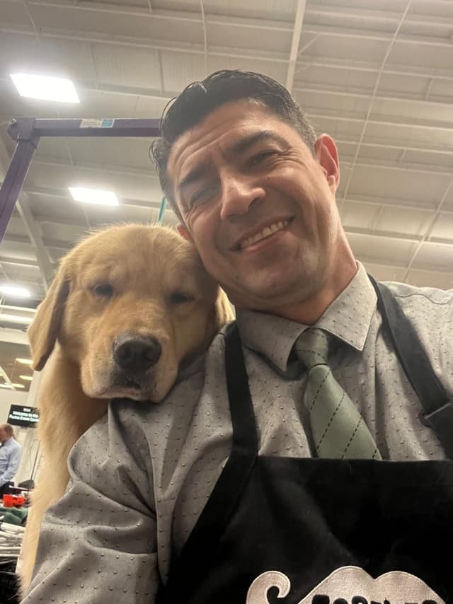 Exceptional Golden Retriever Puppies Available media 4