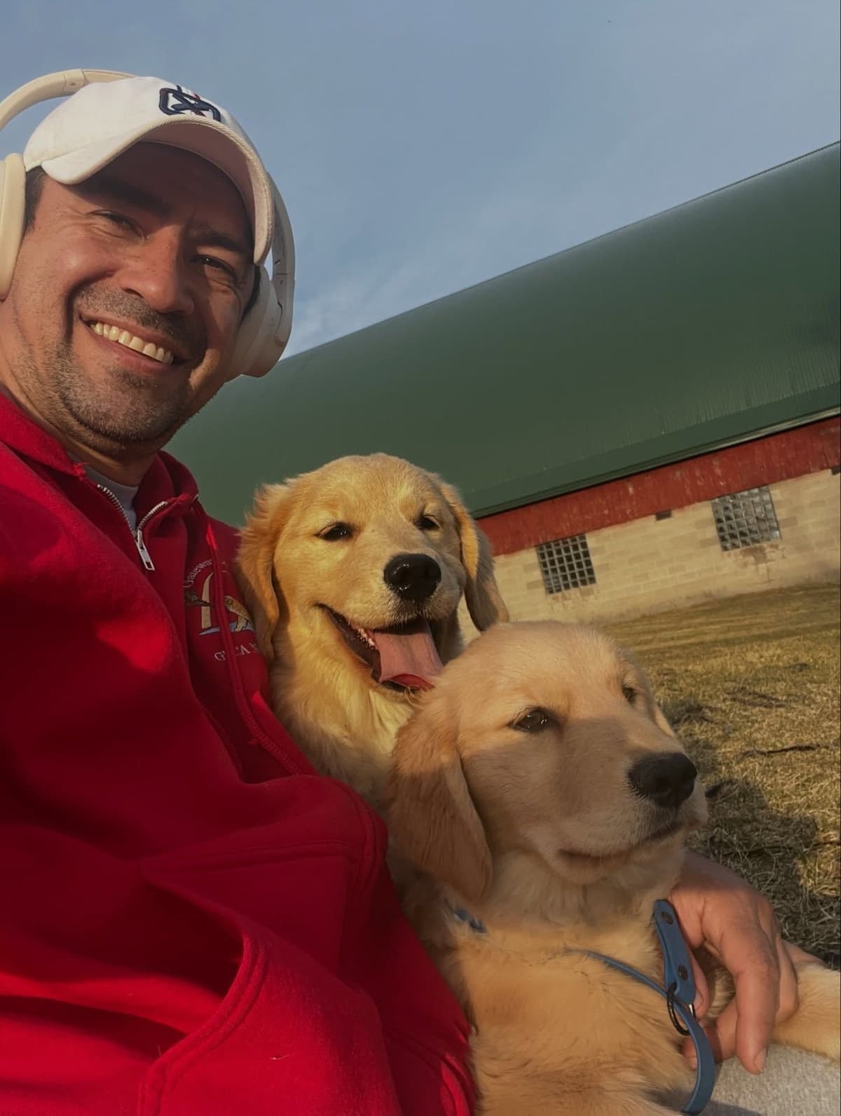 Exceptional Golden Retriever Puppies Available breeder image 4