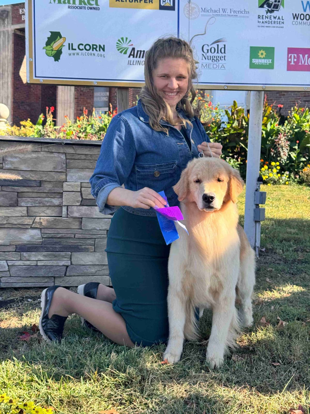 Exceptional Golden Retriever Puppies Available breeder image 15