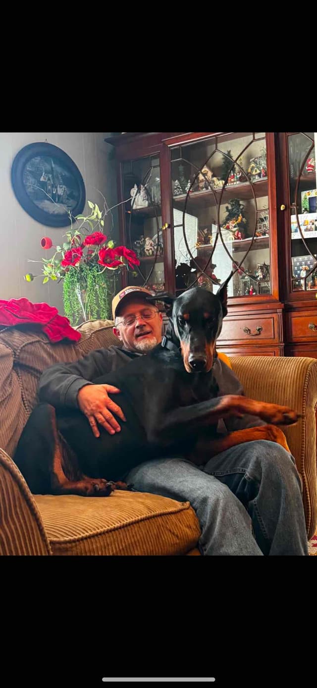 Doberman Pinscher Puppies media 14