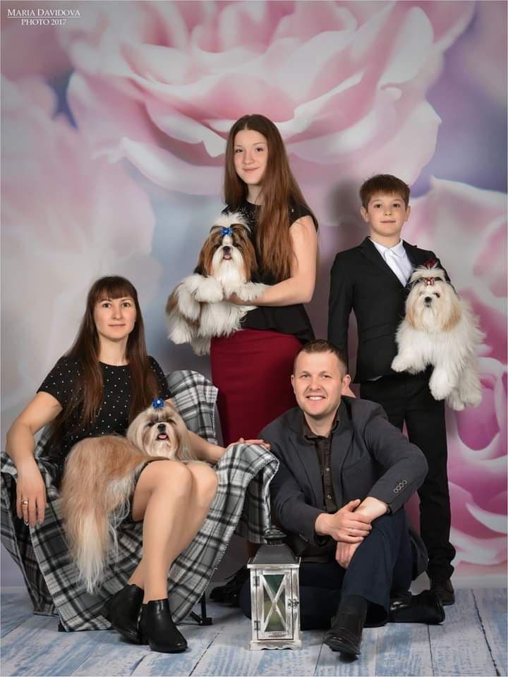 Shih Tzu Puppies breeder image 7