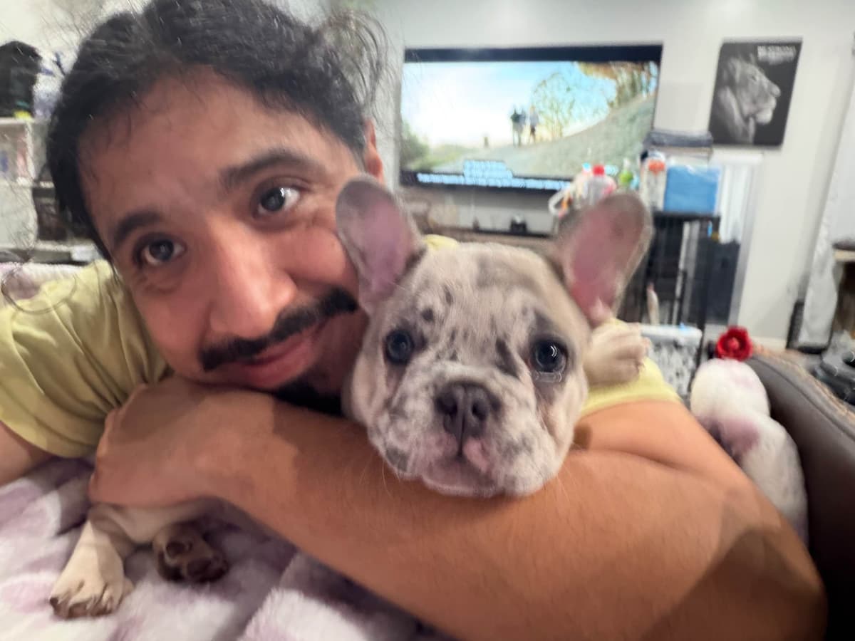 French Bulldog Puppies breeder image 1