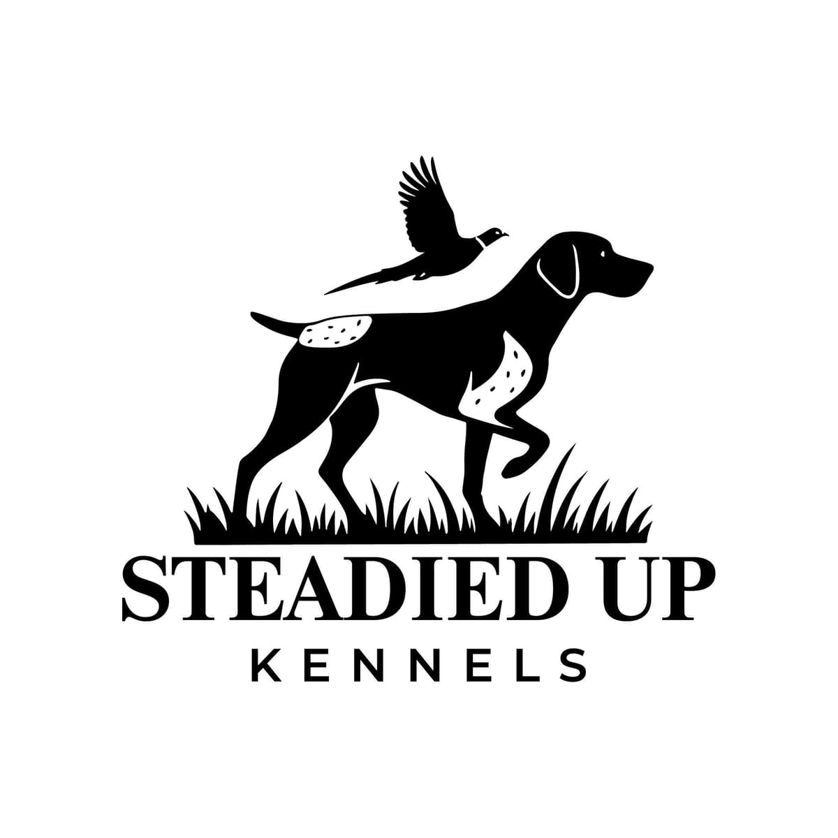 German Shorthaired Pointer Puppies breeder image 1