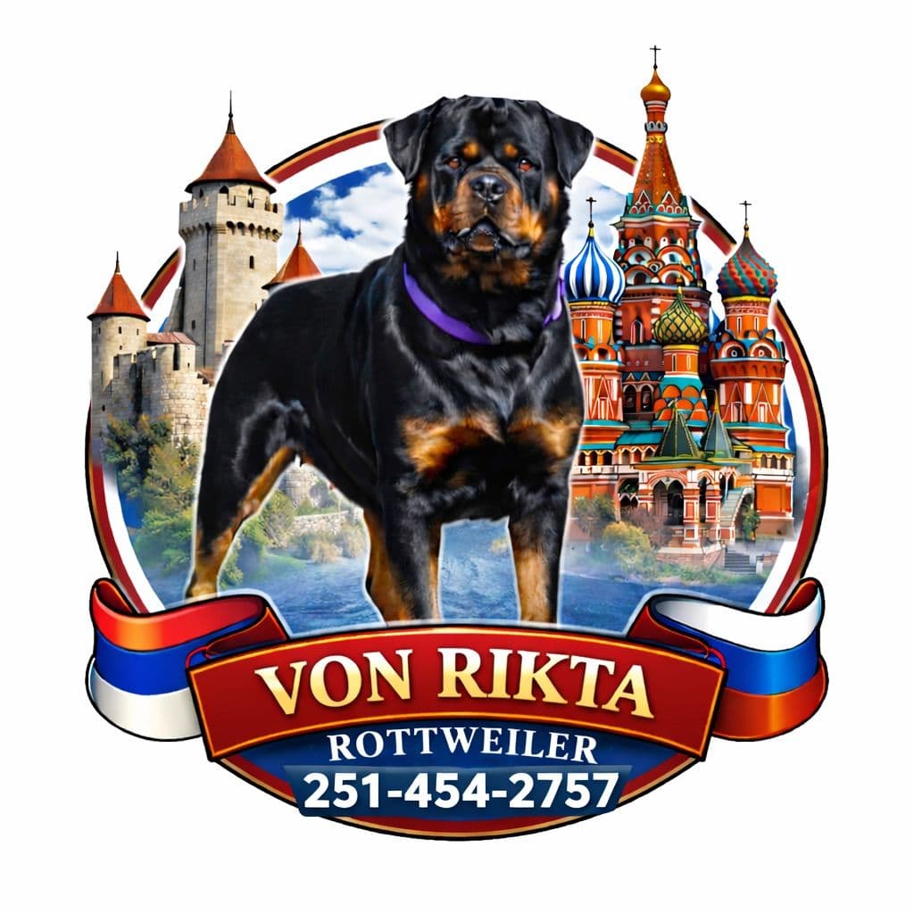 Rottweiler Puppies breeder image 1