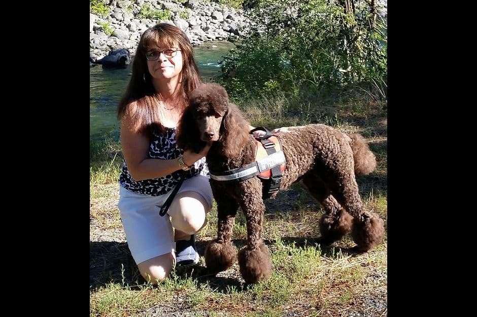 Poodle Puppies breeder image 1