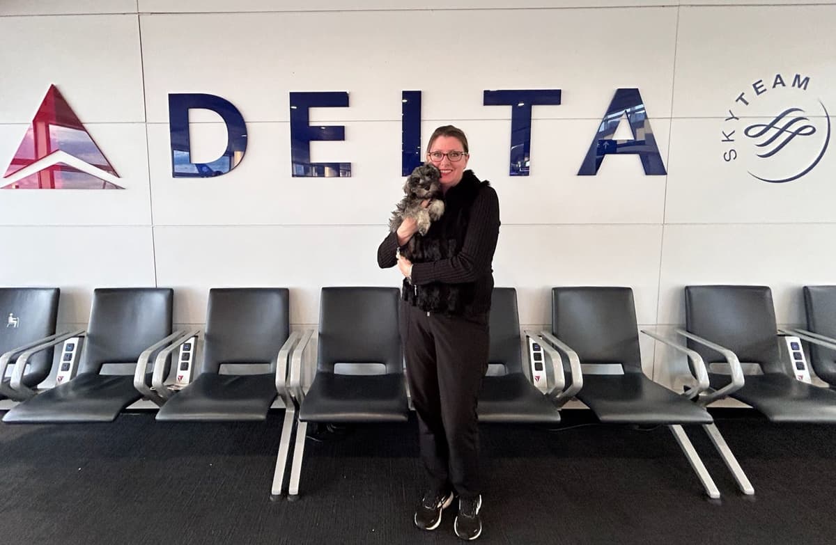 Sire and Dam from Ireland-Miniature Schnauzer Puppies breeder image 1