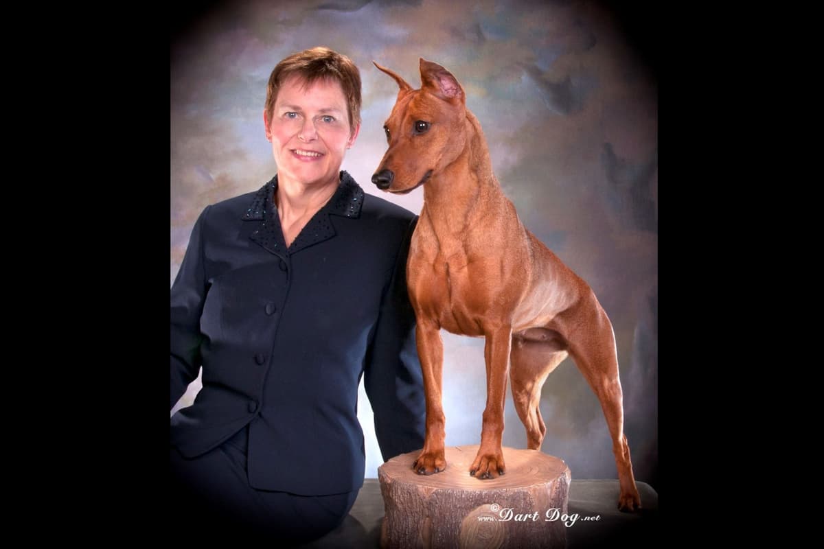 German Pinscher Puppies breeder image 1