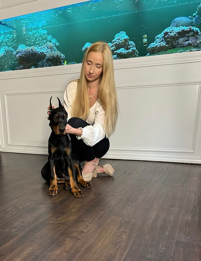 100% European Doberman Pinscher Puppies Bred in Serbia, Born in USA media 10