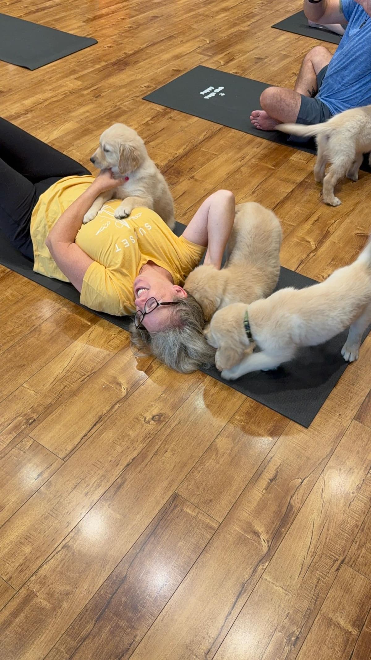 Golden Retriever Puppies– Exceptional Temperament & Champion Bloodline breeder image 14