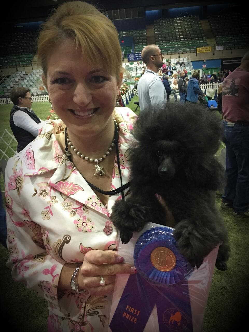 Standard Poodle Puppies breeder image 1