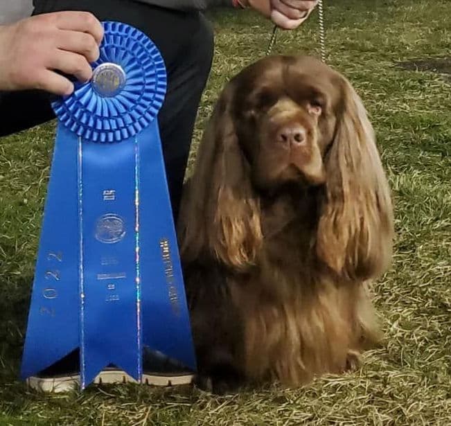 Pretty Parti Girl breeder image 17