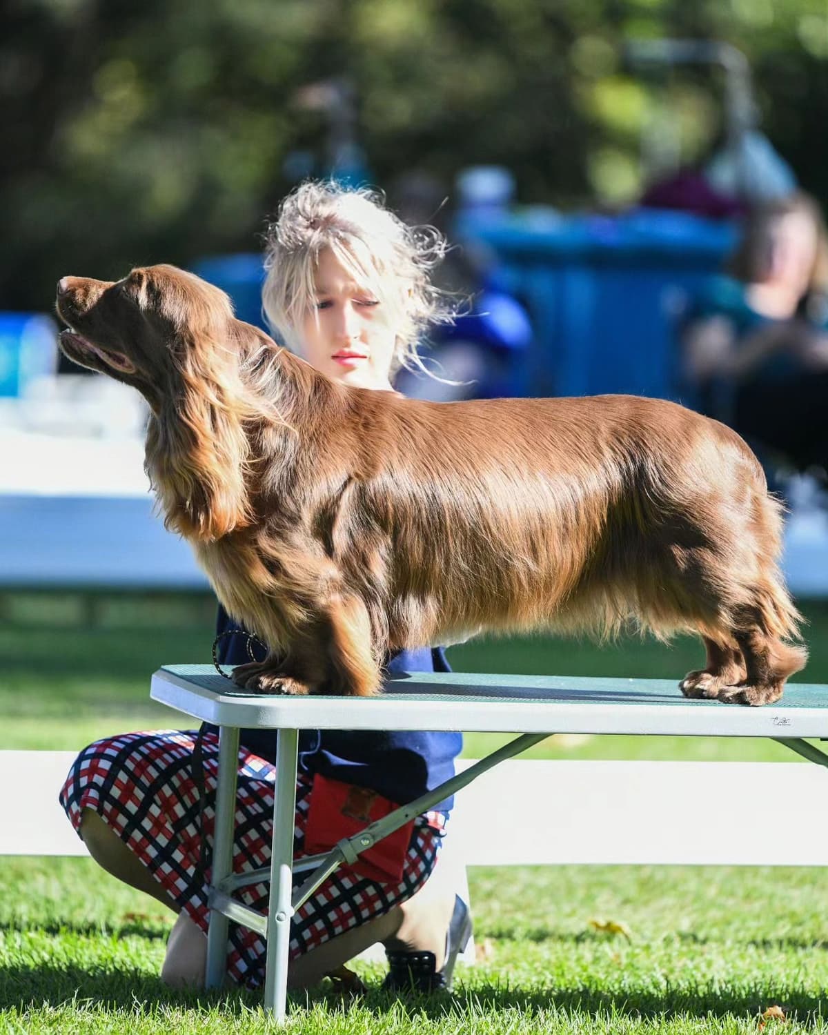 Pretty Parti Girl breeder image 27