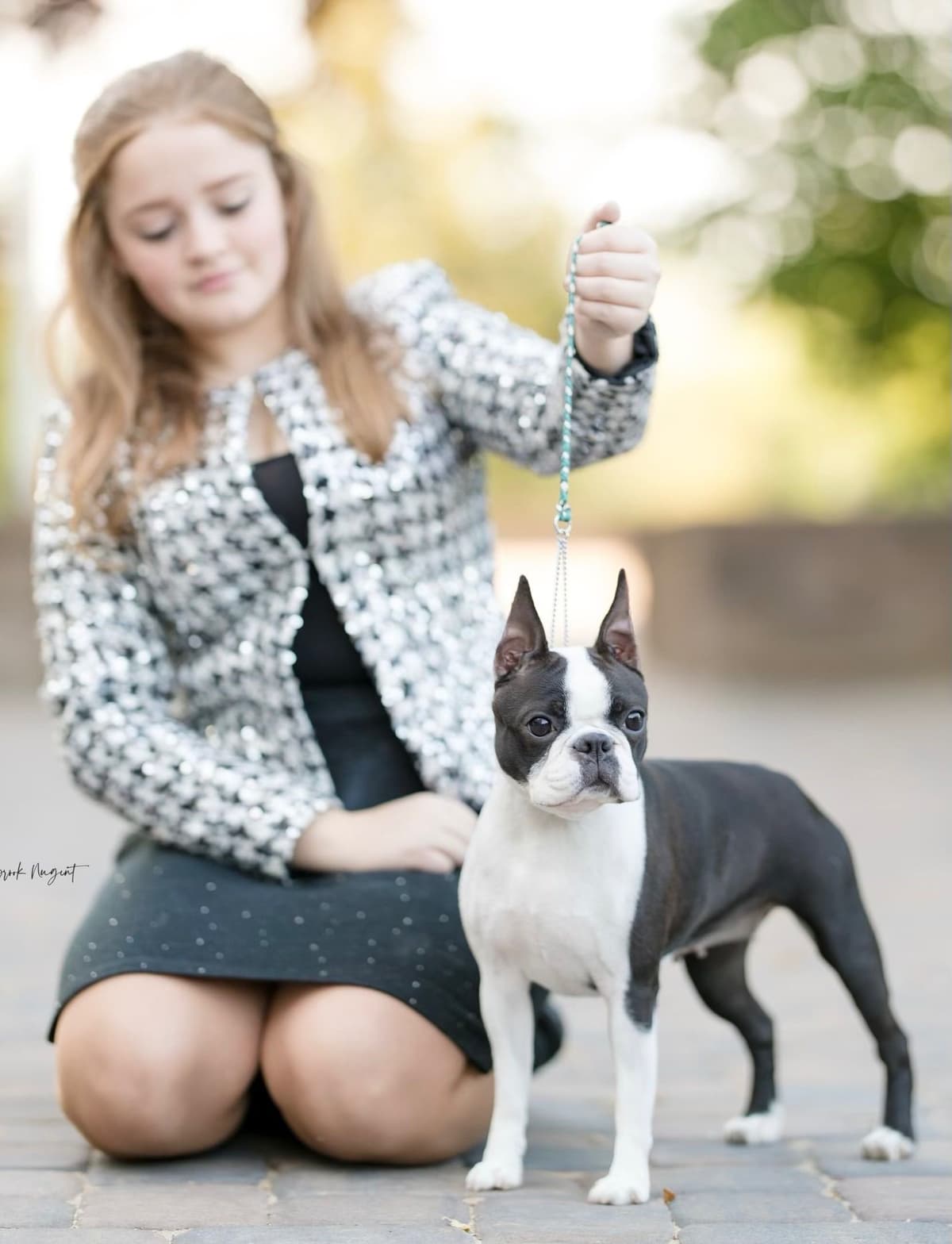 Marisol Boston Terriers breeder image 4