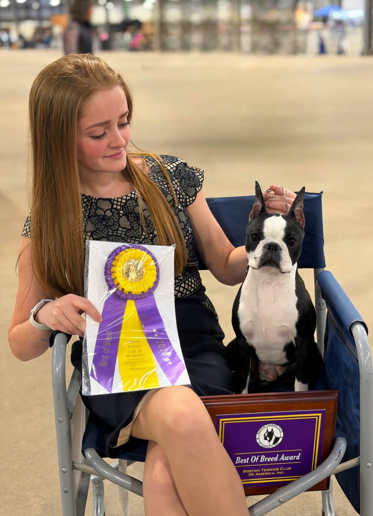 Marisol Boston Terriers breeder image 5
