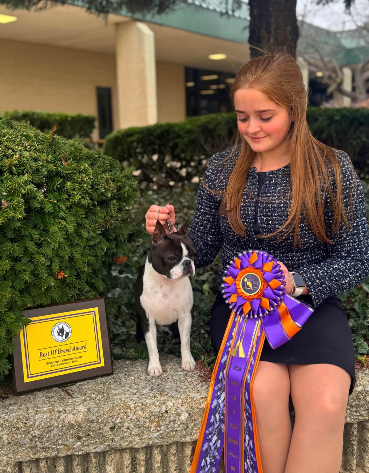 Marisol Boston Terriers breeder image 2