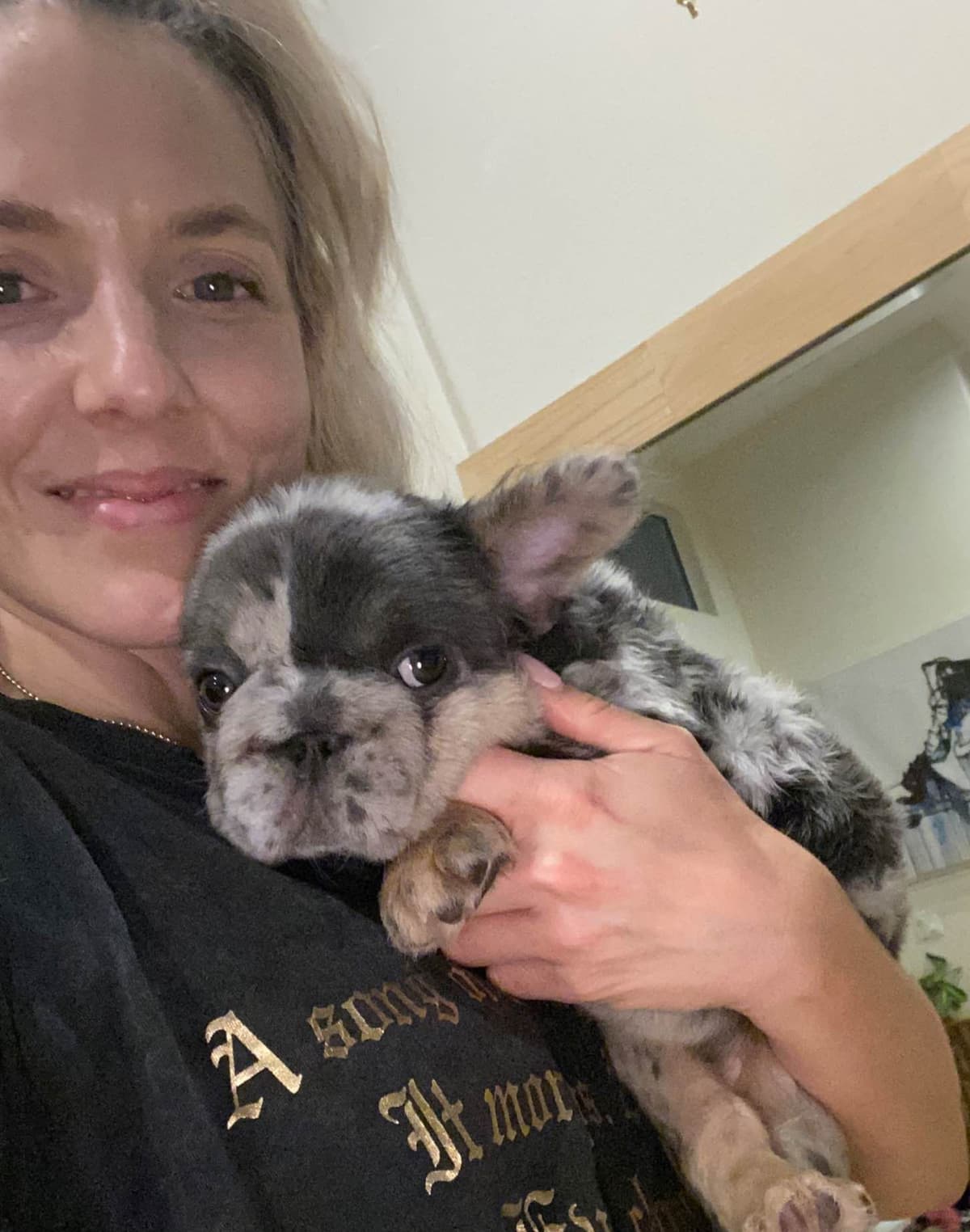 Fluffy Female French Bulldog Puppies breeder image 1